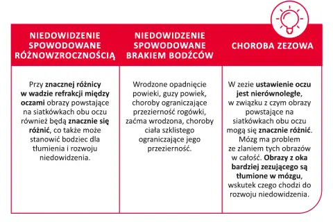 Obraz przedstawia przyczyny niedowidzenia: różnowzroczność, brak bodźców i zez. Leniwe oko może być wynikiem tych schorzeń.