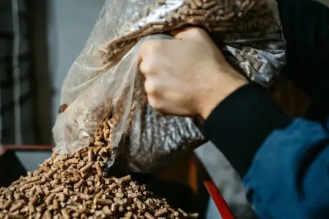Ręka wsypuje pellet z trocin z worka. Tak powstaje ekologiczne paliwo.