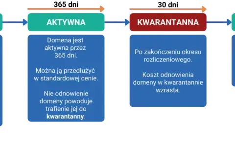 Diagram cyklu życia domeny: rejestracja (1-10 lat), aktywna (365 dni), kwarantanna (po wygaśnięciu, droższa), wolna. Do kiedy domena?