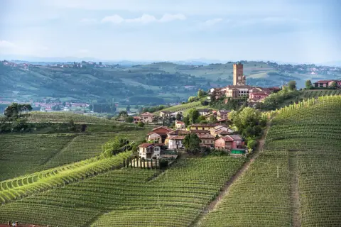 Weinberge umgeben das malerische Dorf Barbaresco in Italien. Ein hoher Turm ragt über die Dächer.
