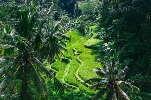 Lazy Z Spa Ubud: Polska oaza relaksu na Bali czy warto?