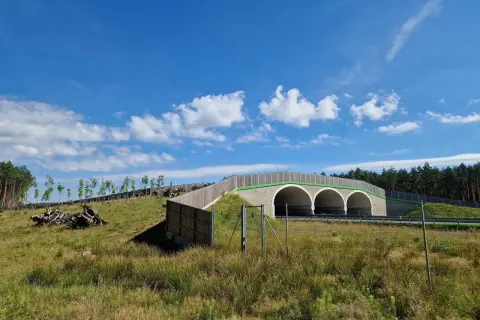 Zielony tunel ekologiczny nad drogą, który służy jako budynek inwentarski dla zwierząt.