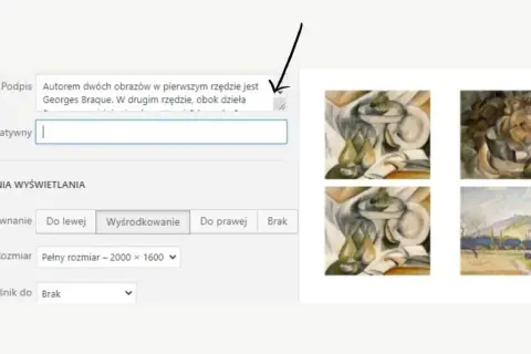 Obrazy w stylu kubistycznym, autorstwa Georges'a Braque'a. Wpisz tekst alternatywny dla dzieł.