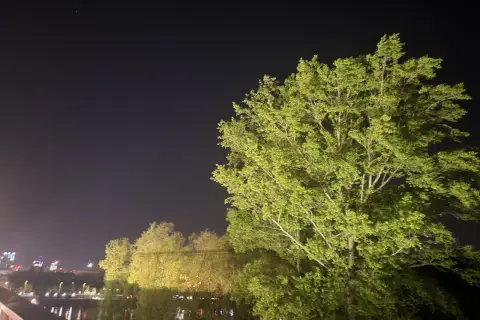 Jasna noc nad rzeką, drzewa oświetlone sztucznym światłem, ledwo widoczne gwiazdy. Zanieczyszczenie światłem przeszkadza w podziwianiu nocnego nieba.