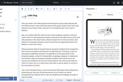 Odkryj najciekawsze szablony Excel dla pisarzy, od fantasy po kryminał i romans. Twórz swoje historie z łatwością!
