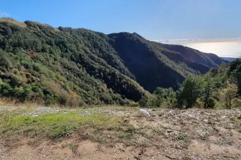 Panoramica di montagne boscose con il mare all'orizzonte, un paesaggio che evoca la serenità del pasquilio massa.