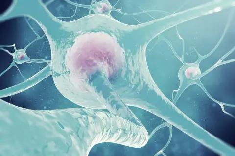 Neurony w akcji, przekazujące sygnały. Czy wiesz, co to acetylocholina i jak ważna jest dla komunikacji między nimi?