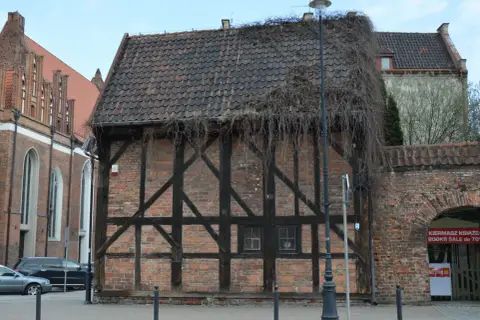 Stare kamienice w Gdańsku, z charakterystyczną cegłą i drewnianą konstrukcją, porośnięte bluszczem.