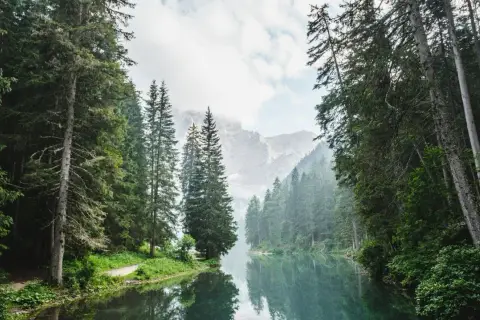 Ein ruhiger Bergsee spiegelt die majestätischen Bäume und Berge wider. Die Farbe Grün, die hier die Bedeutung von Natur, Ruhe und Erneuerung verkörpert, dominiert die Szene.