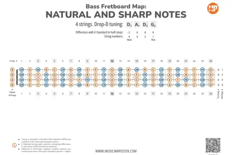 Carte du manche de basse montrant les notes naturelles et dièses. Idéal pour apprendre les notes basse.
