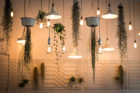 Wiszące rośliny i lampy tworzą magiczne migotanie światła. Ciepłe żarówki oświetlają delikatne pnącza i zwisające mchy, tworząc przytulną atmosferę.