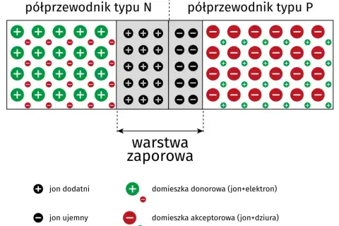 Schemat budowy diody prostowniczej: półprzewodnik typu N z dodatnimi jonami i domieszką donorową, półprzewodnik typu P z ujemnymi jonami i domieszką akceptorową, oraz warstwa zaporowa.