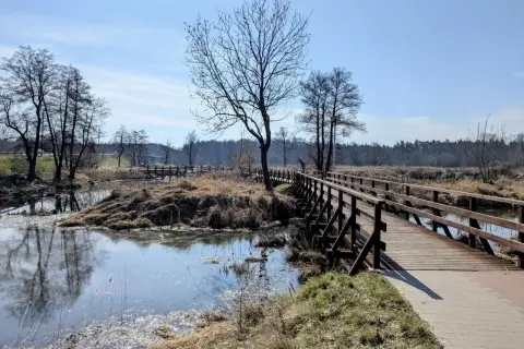 Drewniany mostek nad spokojną rzeką Pilicą, otoczony suchymi trawami i nagimi drzewami.
