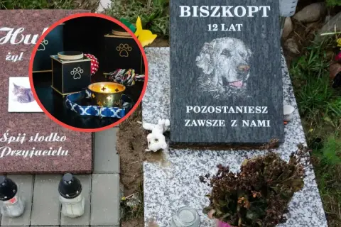 Nagrobek psa Biszkopta, 12 lat. W okręgu urna i świeca. Pytanie: ile kosztuje kremacja psa?