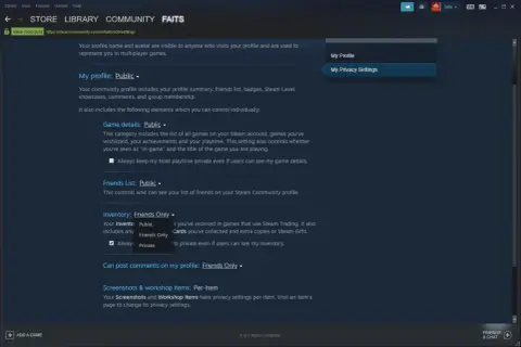 Ustawienia prywatności Steam, aby móc udostępnić swój trade URL na CSGO skins. Zmień widoczność ekwipunku na "Publiczny".