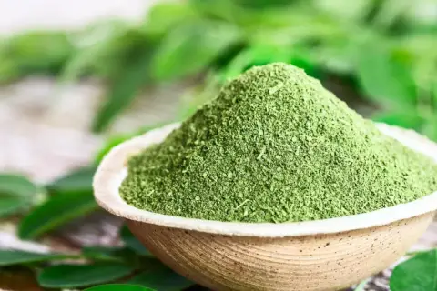 Zielony proszek moringa w miseczce, otoczony liśćmi. To naturalne superfood, które warto poznać!