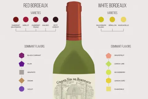 Schemat porównuje odmiany i smaki czerwonego i białego wina bordeaux. Czerwone bordeaux ma nuty czarnej porzeczki, śliwki, grafitu, cedru i fiołka.