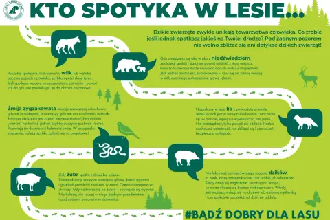 Jak sprawdzić kiedy myśliwi polują? Grafika pokazuje zwierzęta leśne i instrukcje, jak się zachować.