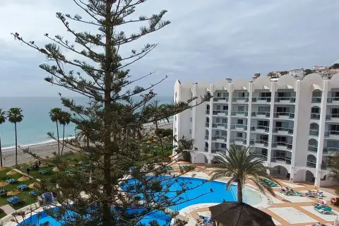 Vista de un hotel con piscina y playa, con palmeras y un pino en primer plano. Un día nublado en las **marinas de Nerja**.