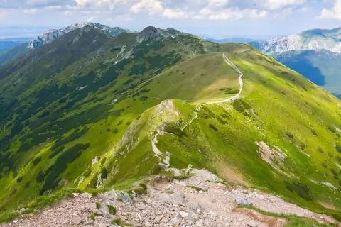 Malowniczy szlak na Ornaka z Doliny Kościeliskiej, wijący się po zielonych zboczach Tatr Zachodnich.
