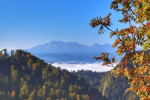 Jesienny widok z sokolica szlak na Tatry. Mgły unoszą się w dolinach, a drzewa mienią się kolorami.