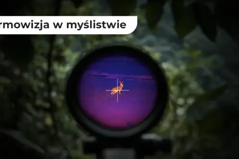 Widok przez lunetę termowizyjną: zając na tle fioletowego pola, jak widzi myśliwy.