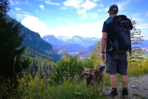Mann mit Hund genießt Aussicht beim Tegelberg wandern Rundweg. Majestätische Alpen und ein Schloss im Tal.