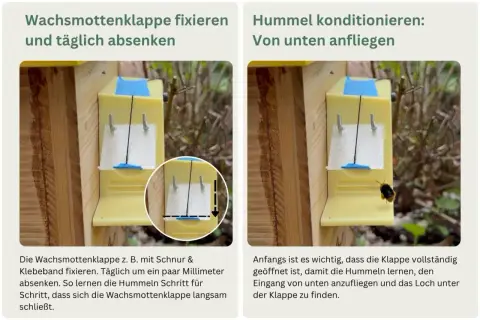 Beim Hummelnistkasten bauen: Klappe fixieren und absenken, damit Hummeln den Eingang finden.