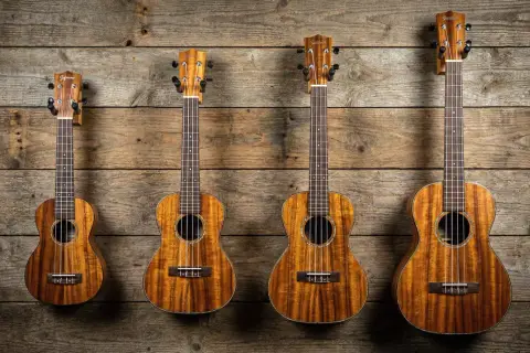 Quatre ukulélés de tailles différentes, chacun représentant un type de ukulele, sont accrochés sur un mur en bois rustique.