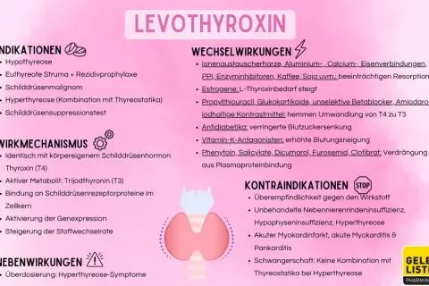 Levothyroxin: Indikationen, Wirkmechanismus, Wechselwirkungen, Kontraindikationen und Nebenwirkungen. Behandelt u.a. Hypothyreose.