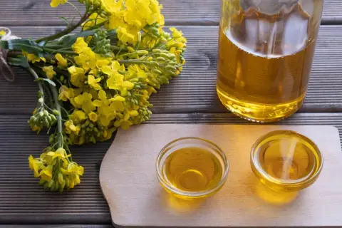 Ein Strauß Rapsblüten neben zwei Schälchen und einer Flasche mit goldenem Rapsöl. Rapsöl gesund und vielseitig.