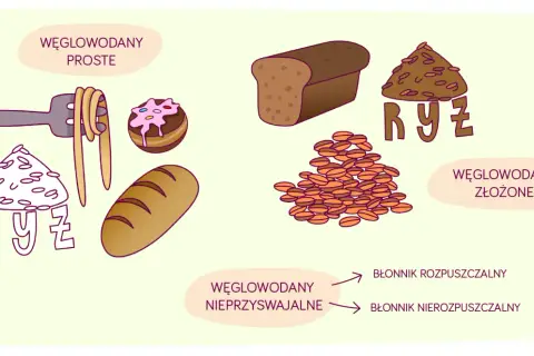 Węglowodany proste (makaron, ciastko) i złożone (chleb, ryż). Węglowodany nieprzyswajalne to błonnik rozpuszczalny i nierozpuszczalny.