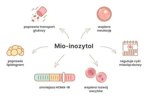 Ilustracja przedstawia schemat działania mio-inozytolu, z ikonami symbolizującymi poprawę transportu glukozy, lipidogramu, owulacji, cyklu miesiączkowego, rozwoju oocytów i redukcję HOMA-IR.