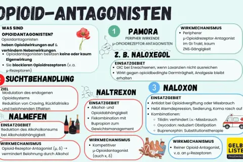 Opioid-Antagonisten wie Buprenorphin blockieren Opioidrezeptoren und helfen bei Suchtbehandlung, z.B. gegen Alkoholabhängigkeit.