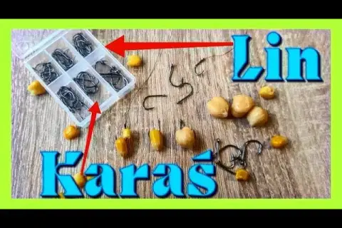 Najlepszy haczyk na karasia: rozmiar, kształt, model poradnik