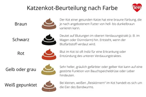 Illustrationen von Katzenkot in verschiedenen Farben (braun, schwarz, rot, gelb/grau, weiß gepunktet) mit Erklärungen zu deren Bedeutung für die Katzengesundheit.