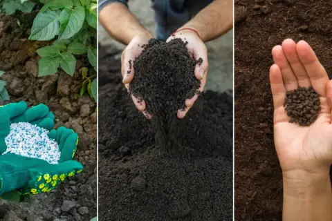 Ręce w zielonych rękawiczkach trzymają biało-niebieskie granulki, a obok dłonie przesypują ciemną ziemię. To wszystko to nawozy mineralne dla zdrowych roślin.
