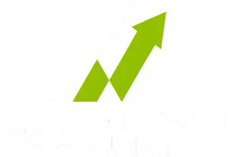 Logo for 365 Leadership Summit, featuring white mountain peaks with a green upward arrow, symbolizing growth and progress.