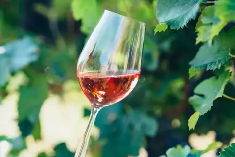Calice di vino rosato tra le foglie di vite, un assaggio del processo di wine making.