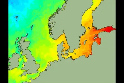 Temperatura wody w Bałtyku: Kiedy i gdzie jest najcieplej?