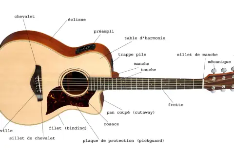 Guitare acoustique avec étiquettes identifiant ses parties : chevalet, table d'harmonie, manche, etc. Idéal pour la prise de son guitare acoustique.