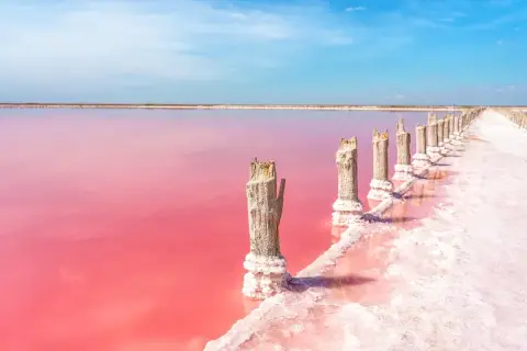 Alicante różowe jezioro, z drewnianymi słupkami porośniętymi solą, tworzy surrealistyczny krajobraz pod błękitnym niebem.