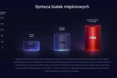 Wykres porównuje rodzaje odżywek białkowych: trening siłowy (60%), spożycie odżywki (110%) i spożycie odżywki po treningu (170%).