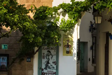 Tablao de Carmen Barcelona: la guía completa del flamenco auténtico en Poble Espanyol