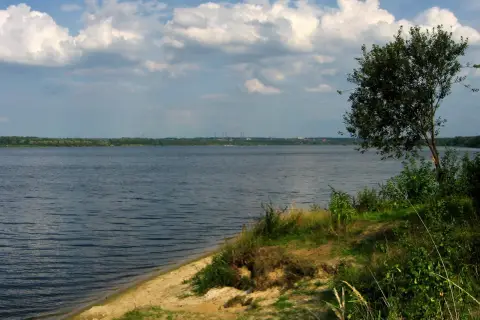 Spokojne jezioro Dzierżno z piaszczystym brzegiem i drzewem na pierwszym planie. W oddali widoczny las i kominy przemysłowe.
