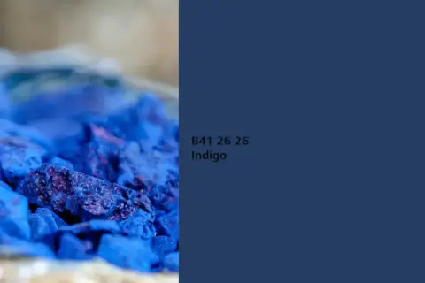Nahaufnahme von zerstoßenem Pigment in tiefem Indigo. Die Farbe wirkt intensiv und fast samtig.