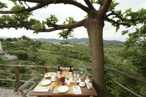 Colazione con vista sui vigneti del Collio, un assaggio delle migliori cantine del collio friulano.