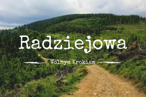 Radziejowa, diadem polskich gór wykaz szczytów. Droga przez las, zielone zbocza, chmury na niebie.