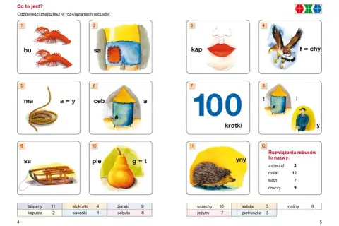 Rebusy z obrazkami: raki (bu), spodenki (sa), usta (kap), orzeł (ł=chy), sznur (ma=y), ul (ceba), sto (krotki), pszczoła i pan (tiy), sanki (sa), gruszka (piet), jeż (yny). Co to jest rzeczownik?