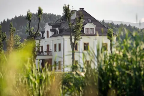 Elegancka restauracja "Kaczka na wodzie" w otoczeniu zieleni, z widokiem na las i wzgórza.